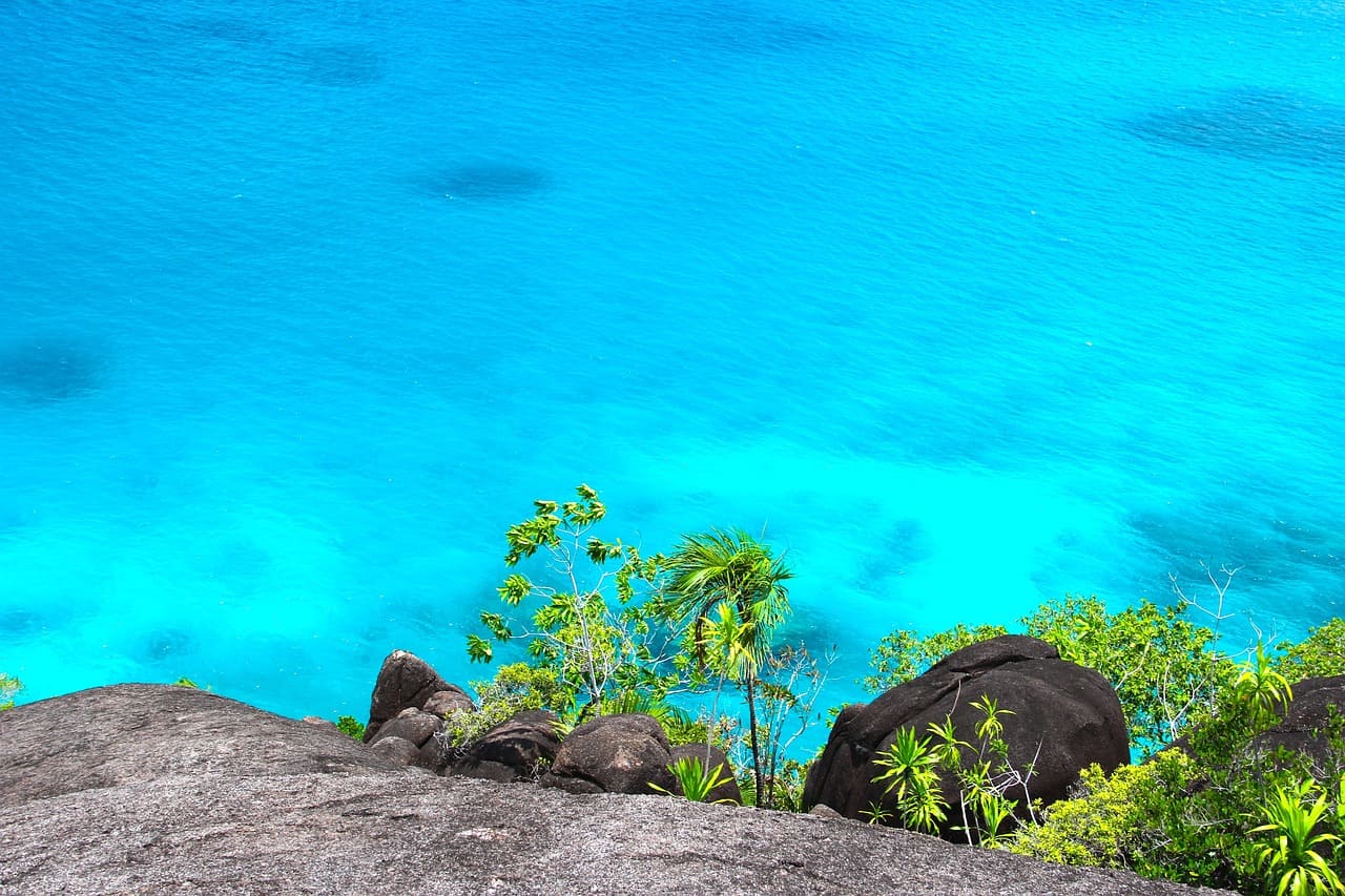 Imagem de um dos lugares paradisíacos no mundo chamado Seychelles, a imagem mostra água cristalina, algumas rochas e coqueiros em um dia ensolarado